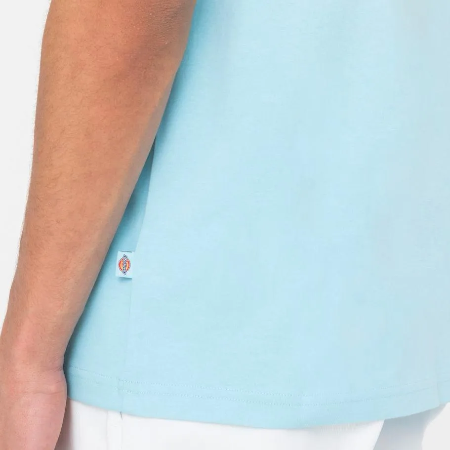 Dickies Holtville tee SS sky blue