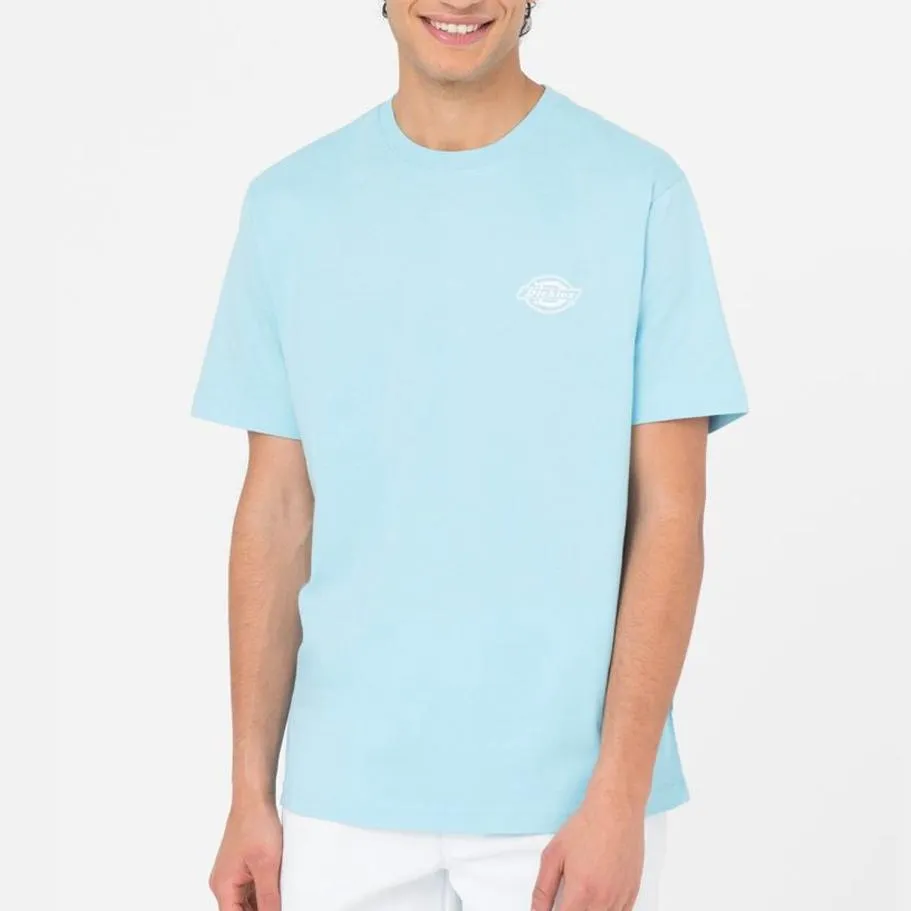 Dickies Holtville tee SS sky blue
