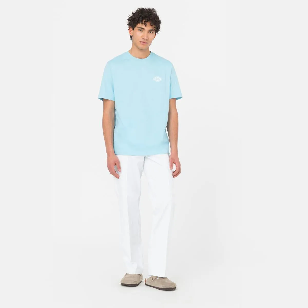 Dickies Holtville tee SS sky blue