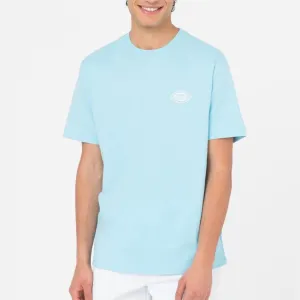 Dickies Holtville tee SS sky blue