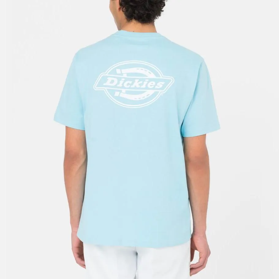 Dickies Holtville tee SS sky blue
