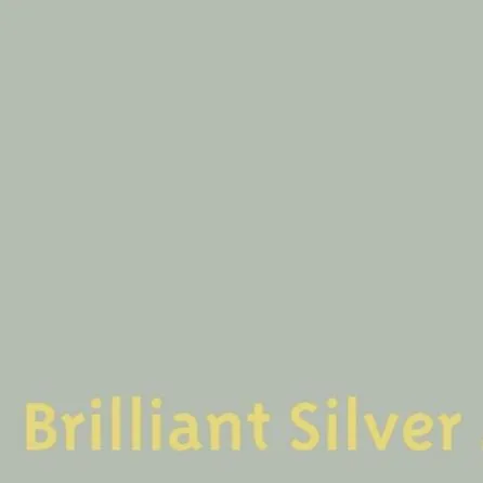 Easy Dye Brilliant Silver 403
