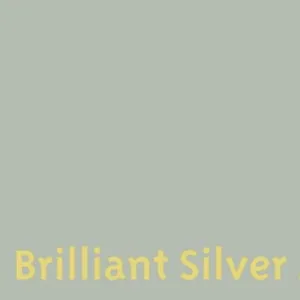 Easy Dye Brilliant Silver 403