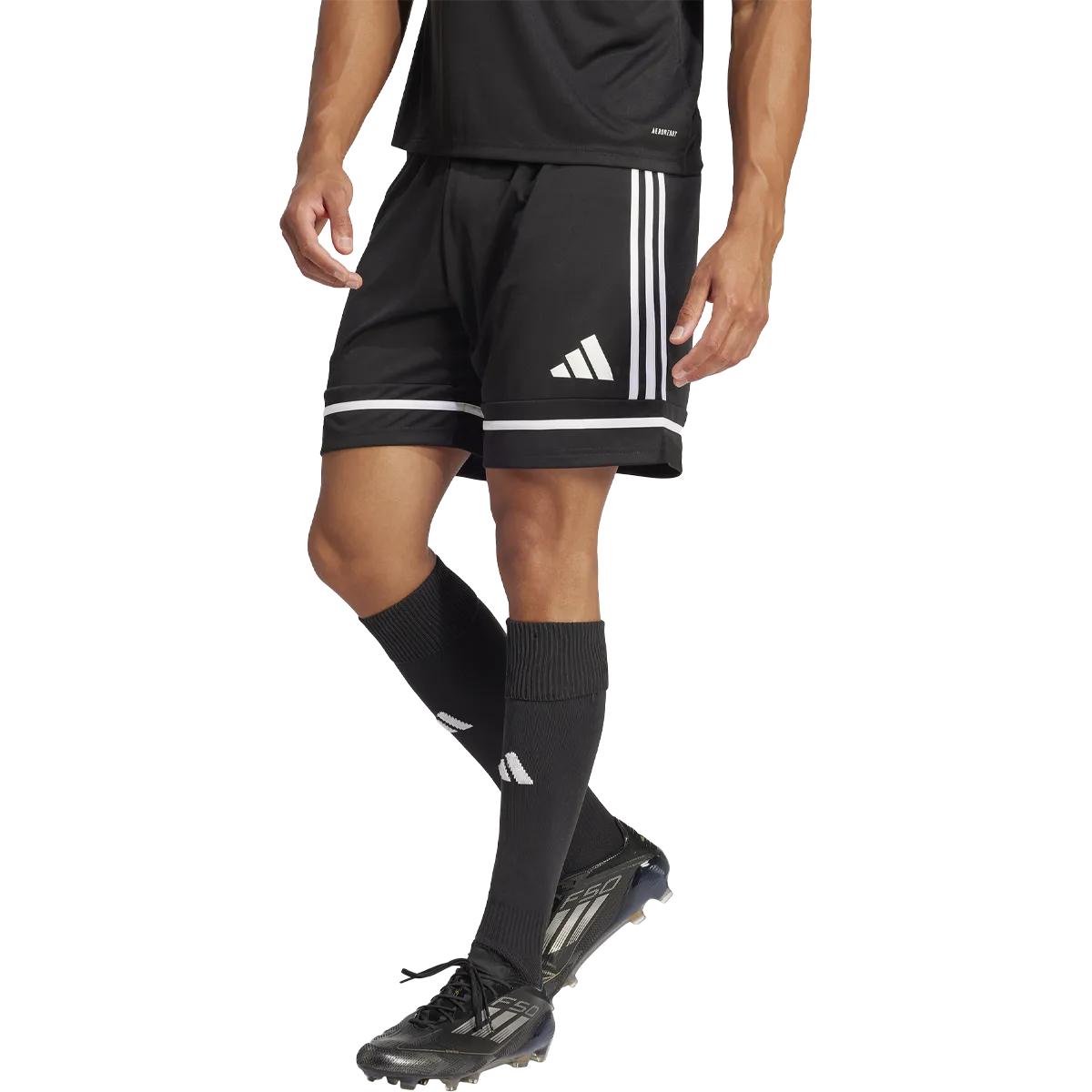 Men's Squadra 25 Shorts