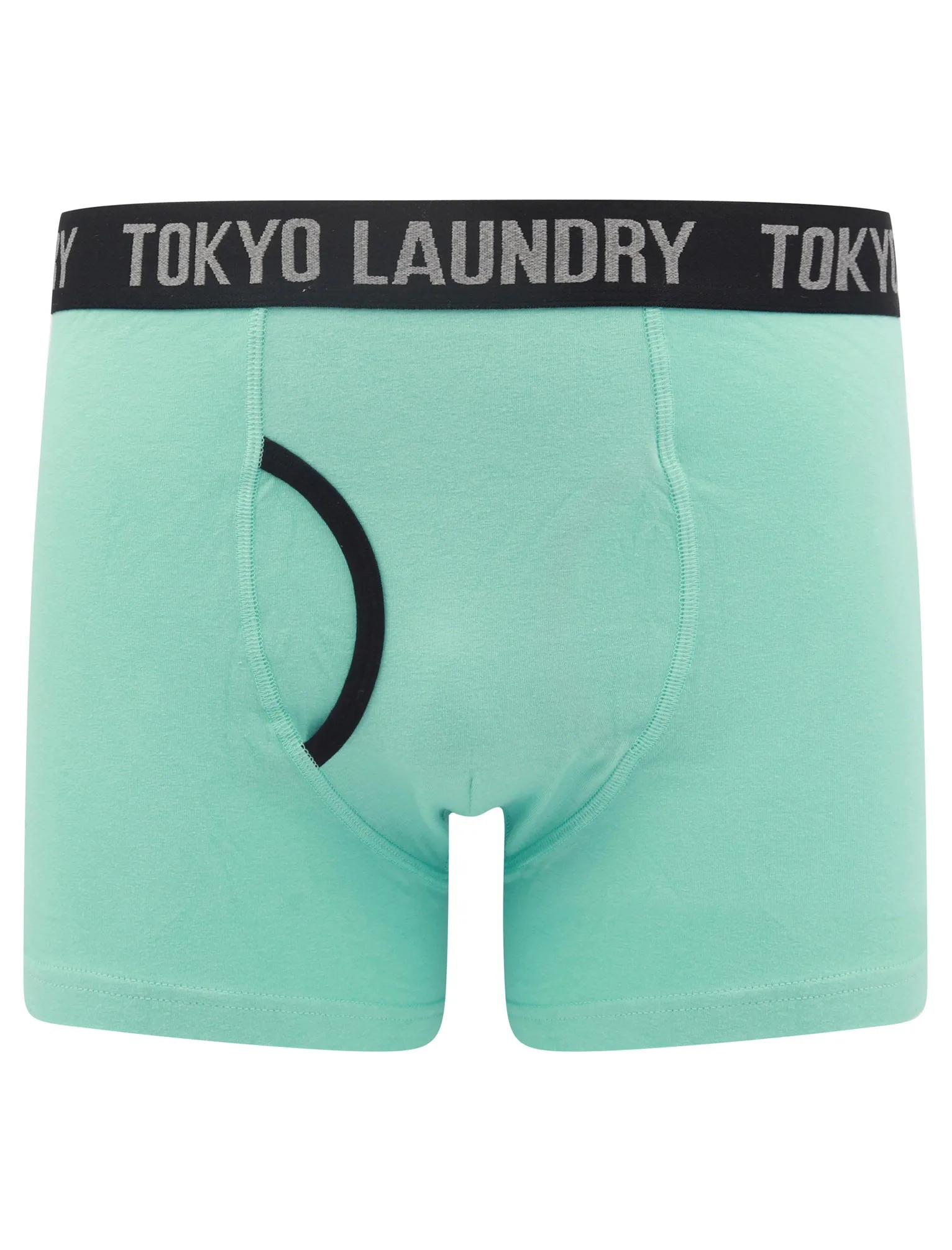 Oldfield (2 Pack) Boxer Shorts Set in Aqua Haze / Lanquid Lavender - Tokyo Laundry
