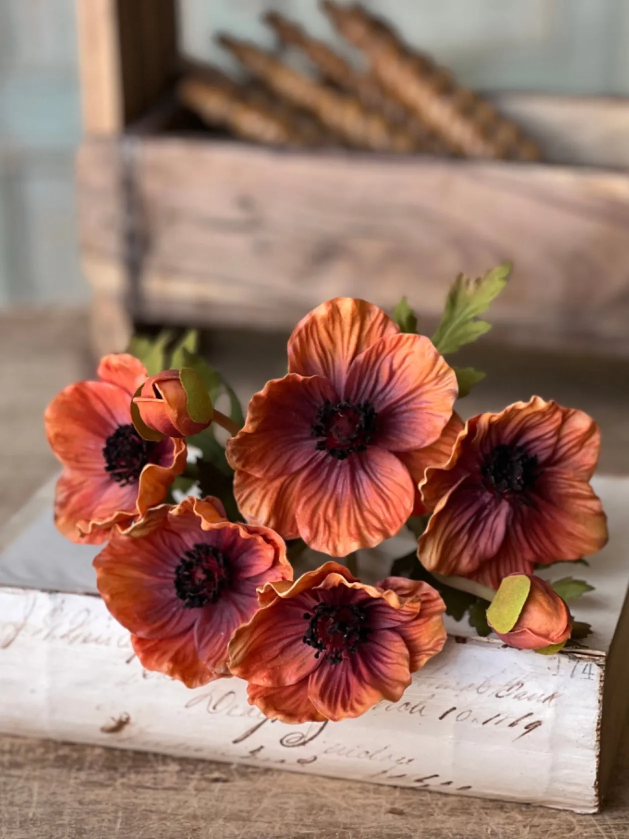 Terracotta poppies bundle - real touch
