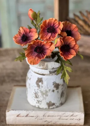 Terracotta poppies bundle - real touch